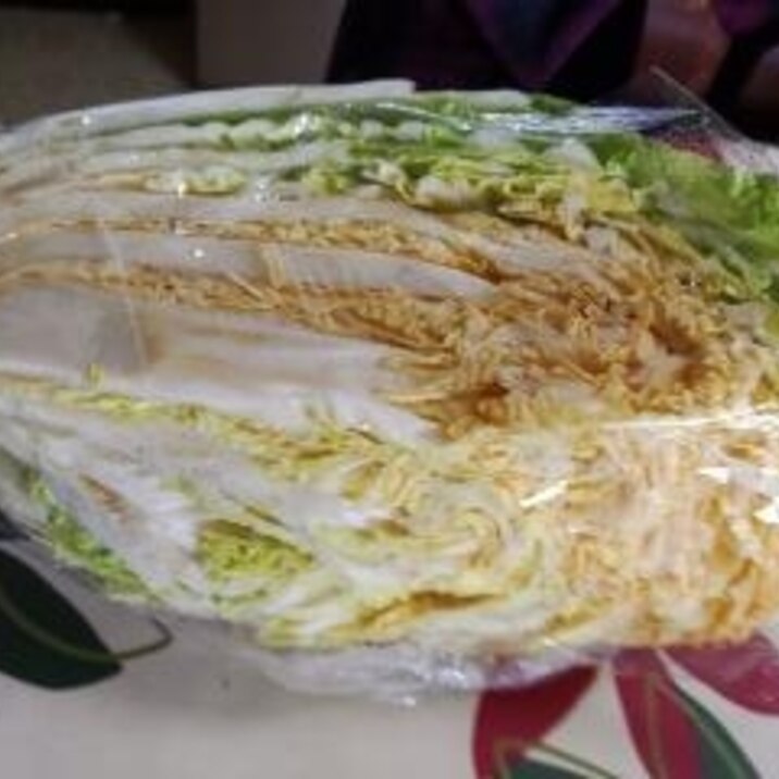お鍋で残った白菜の保存方法
